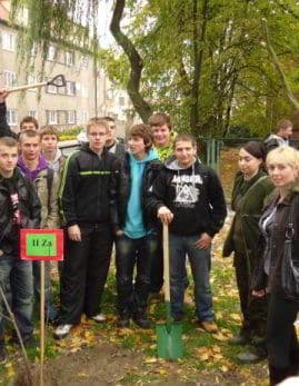 Miniaturka artykułu