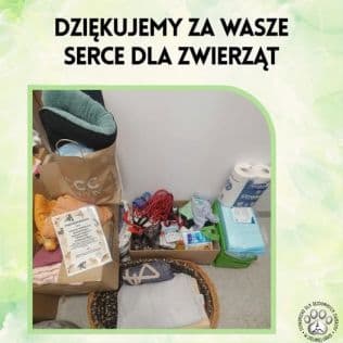 Miniaturka artykułu