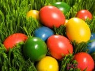 Miniaturka artykułu