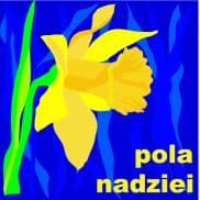 Miniaturka artykułu