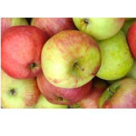 Miniaturka artykułu