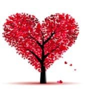 Miniaturka artykułu