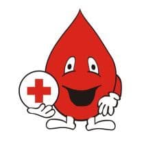 Miniaturka artykułu