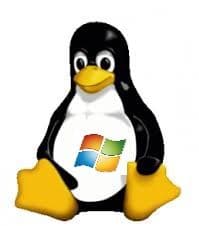 Miniaturka artykułu