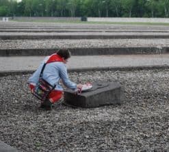 Miniaturka artykułu